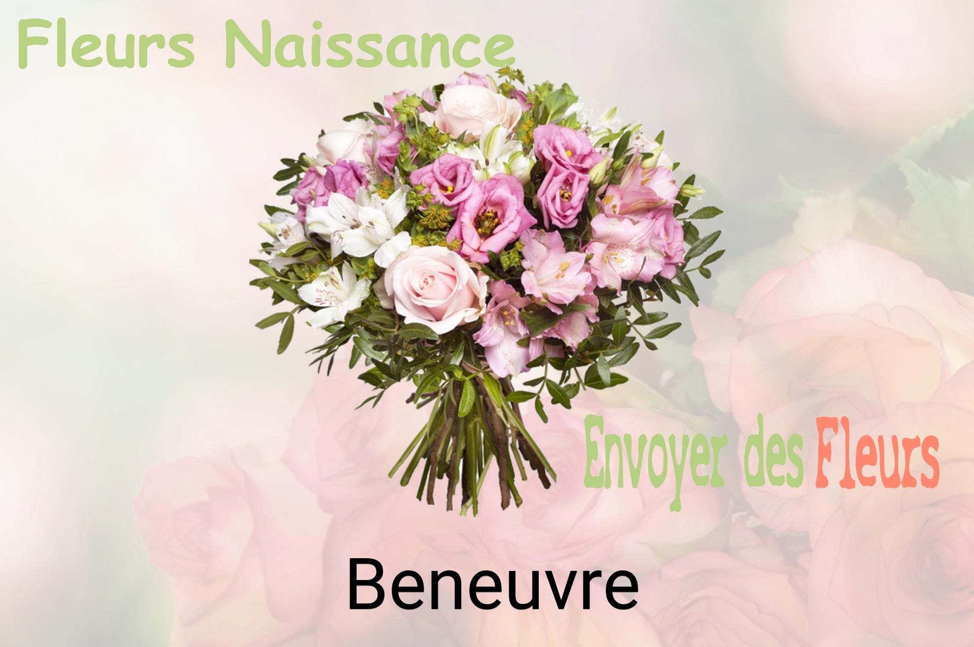 Bouquet de fleurs de naissance livré à Beneuvre